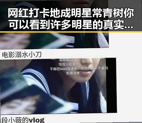 网红打卡地成明星常青树 你可以看到许多明星的真实瞬间跟你想的不一样