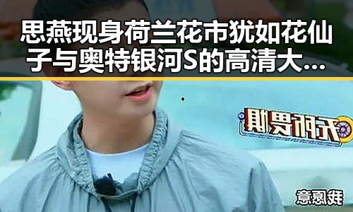 思燕现身荷兰花市犹如花仙子 与奥特银河S的高清大战盛宴惊艳上线