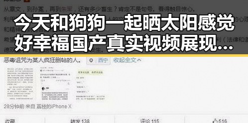 今天和狗狗一起晒太阳感觉好幸福国产真实视频展现生活百态引发吃瓜群众热议