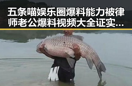 五条喵娱乐圈爆料能力被律师老公爆料视频大全证实是真实内幕