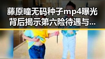 藤原瞳无码种子mp4曝光背后揭示第六险待遇与网络安全隐患