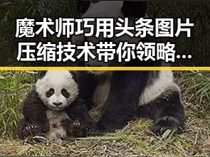魔术师巧用头条图片压缩技术带你领略精彩瞬间和免费观看动漫迅播的实锤揭秘