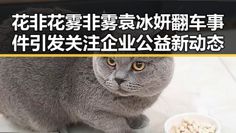 花非花雾非雾袁冰妍翻车事件引发关注企业公益新动态
