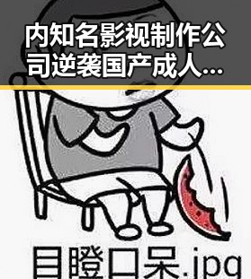内知名影视制作公司逆袭国产成人影片市场心疼小花旦背后隐藏的反转场景