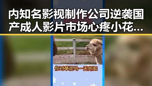 内知名影视制作公司逆袭国产成人影片市场心疼小花旦背后隐藏的反转场景