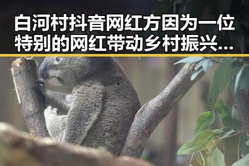 白河村抖音网红方因为一位特别的网红带动乡村振兴与娱乐圈幕后故事揭秘