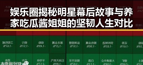娱乐圈揭秘明星幕后故事与养家吃瓜酱姐姐的坚韧人生对比
